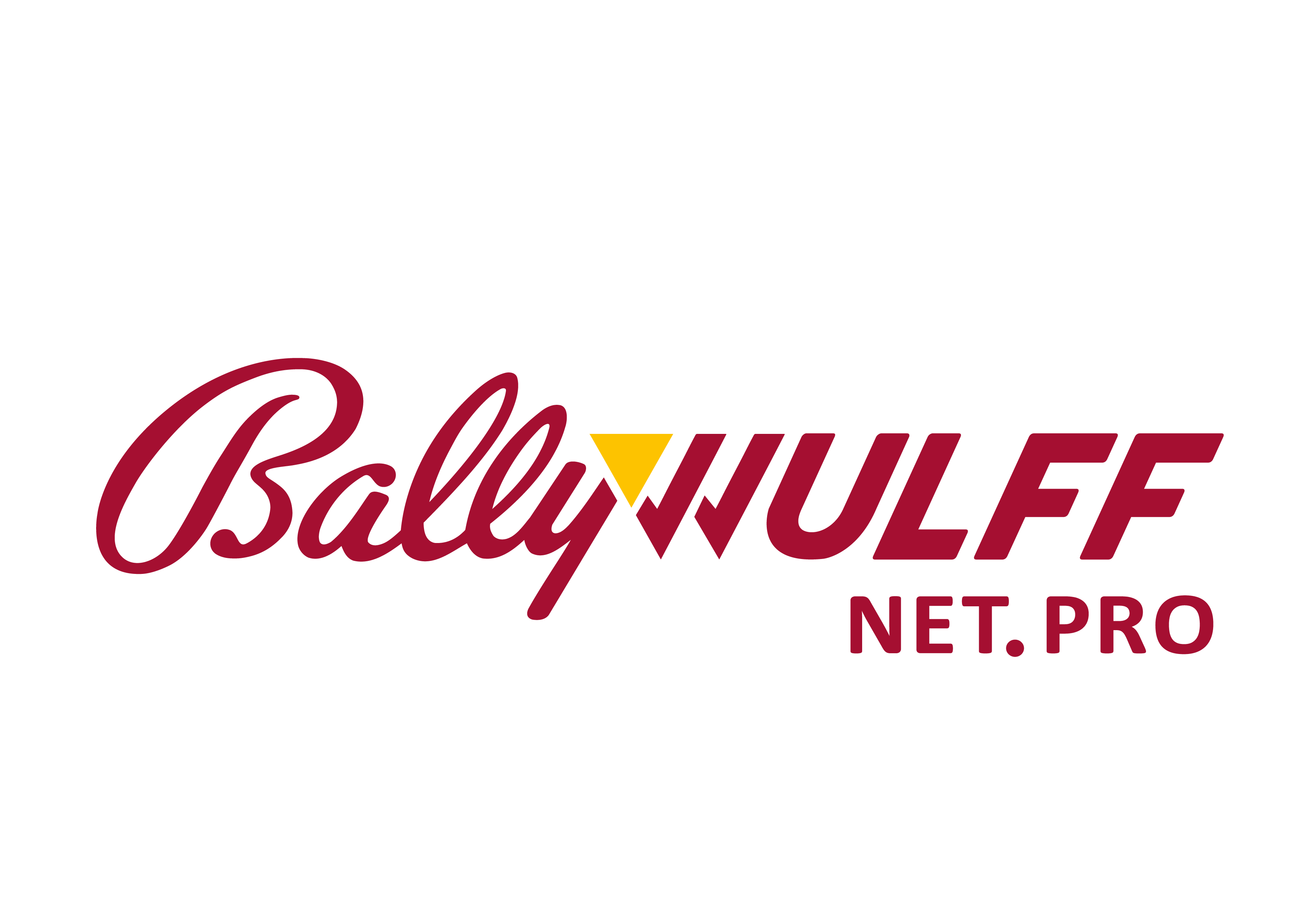 Bally Wulff Net Pro